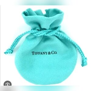 TIFFANY & CO Signature Blue Jewelry Pouch